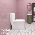 Sanitary Ware One-Piece Bathroom S-Trap Toilet for Adult